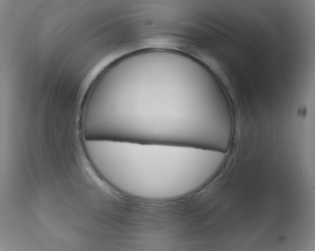 X0000110941331200906191041