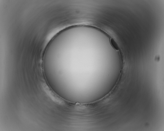 X0000110941332200906191041