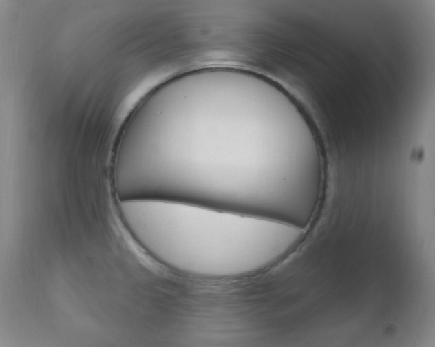 X0000110941333200906191041