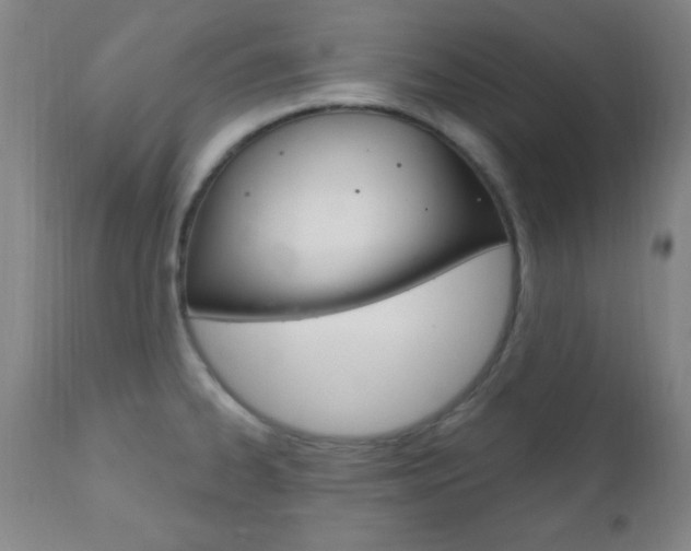 X0000110941334200906191041
