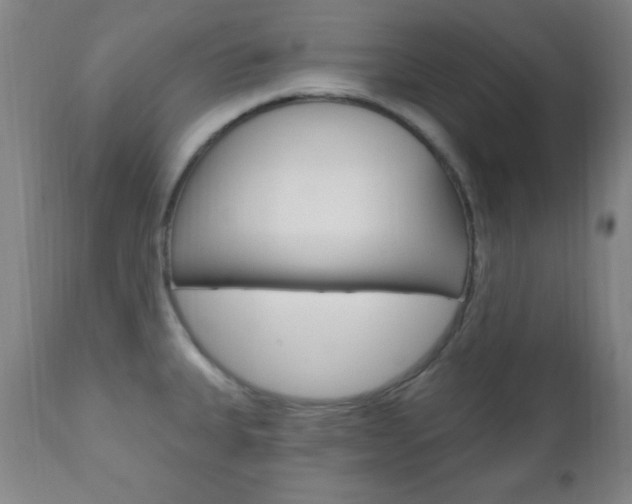 X0000110941335200906191041