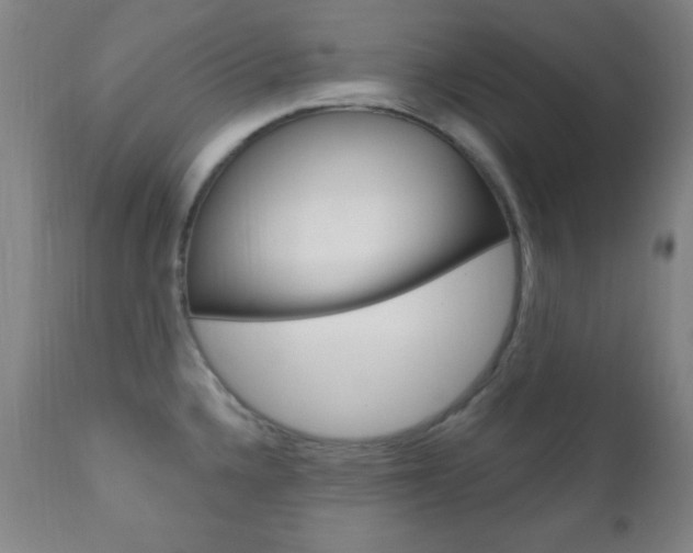 X0000110941336200906191041