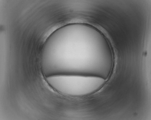 X0000110941337200906191041