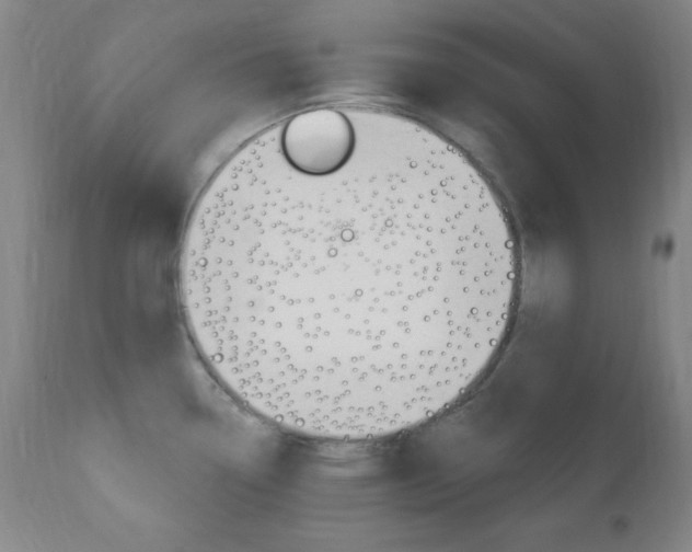 X0000110941338200906191041