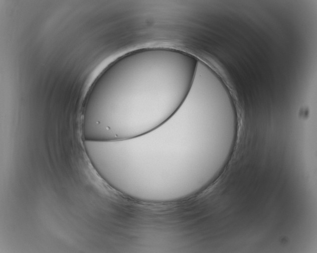 X0000110941340200906191041