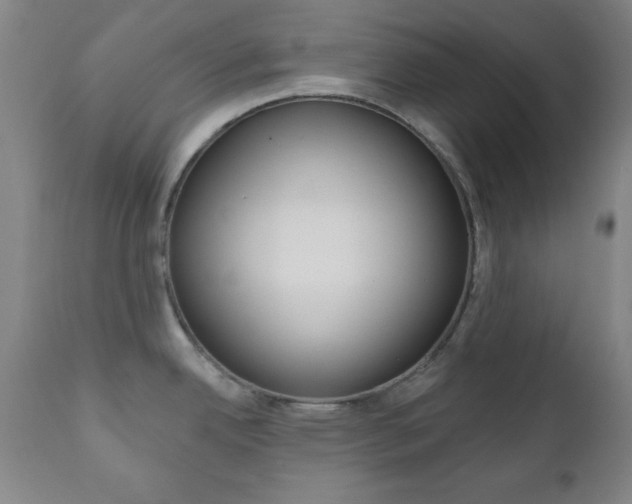 X0000110941342200906191041