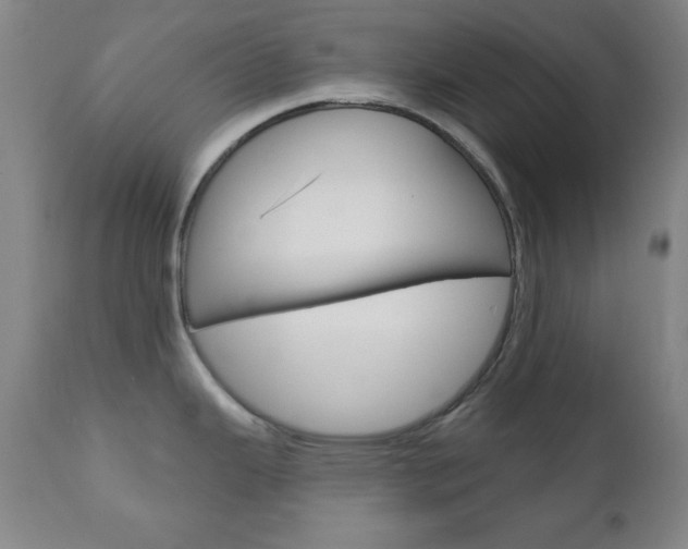 X0000110941343200906191041
