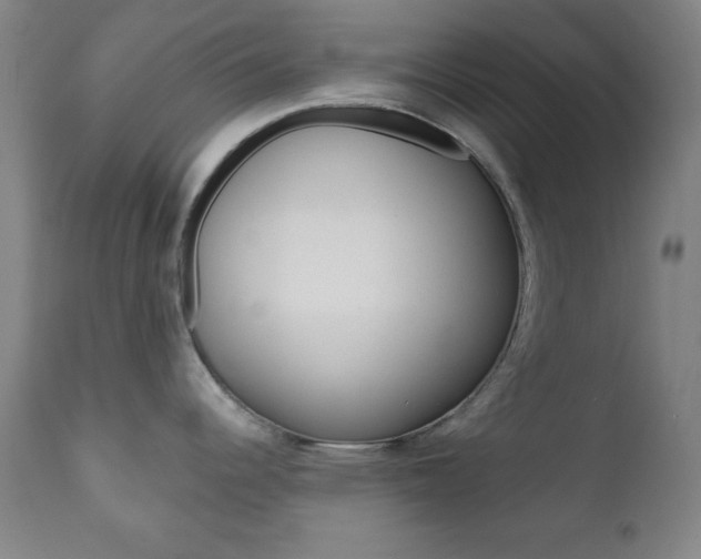 X0000110941344200906191041