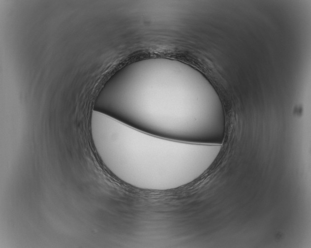 X0000110941345200906191041