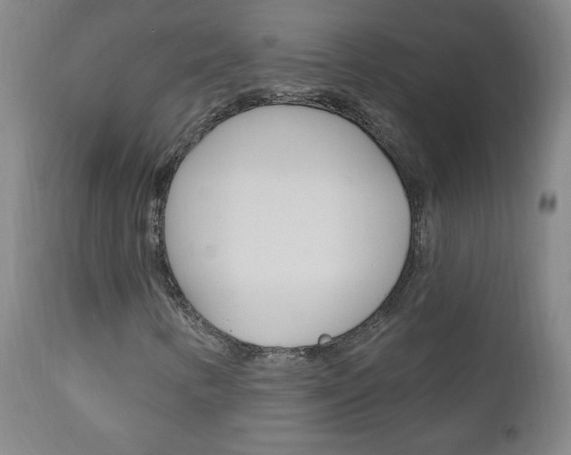 X0000110941346200906191041