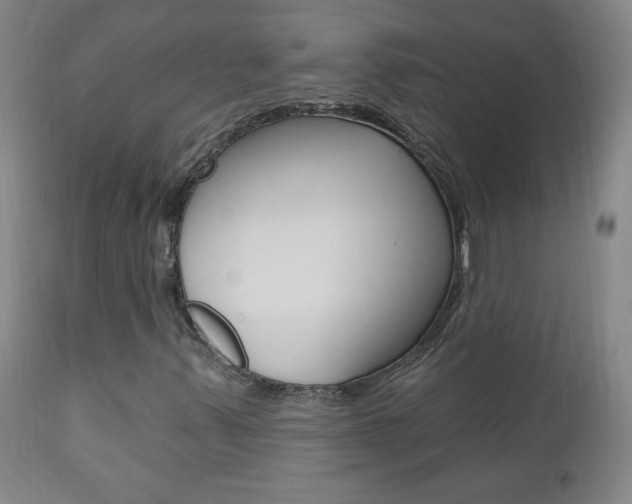 X0000110941347200906191041
