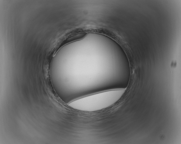 X0000110941348200906191041