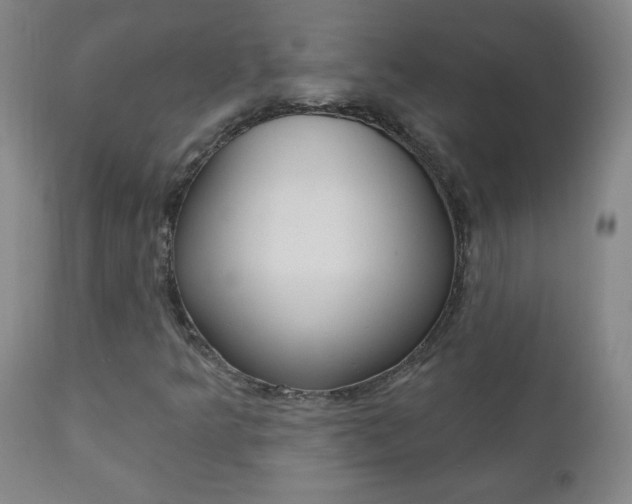X0000110941349200906191041