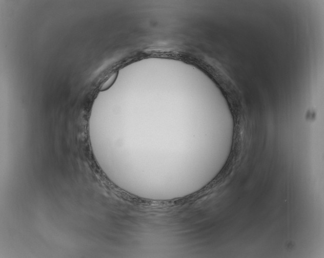 X0000110941350200906191041