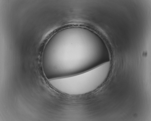 X0000110941352200906191041