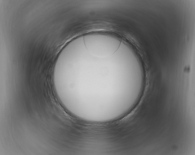 X0000110941353200906191041