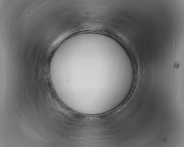 X0000110941354200906191040