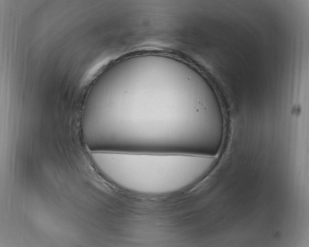 X0000110941355200906191040
