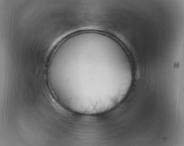 X0000110941356200906191040