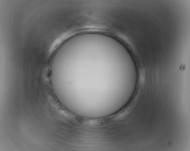 X0000110941357200906191040