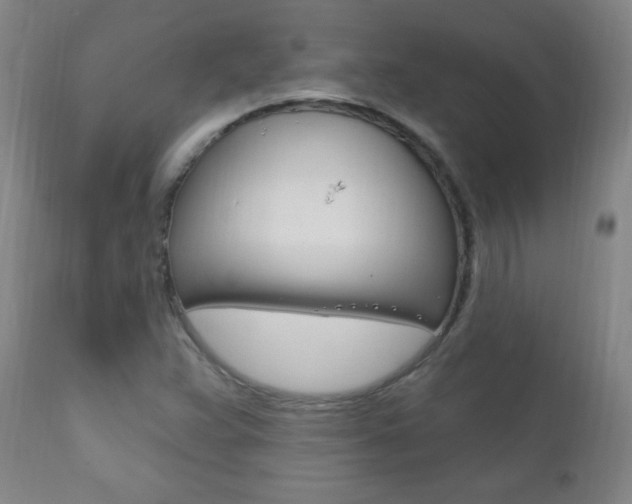 X0000110941359200906191040