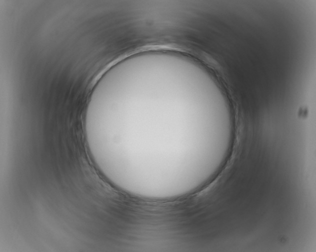 X0000110941361200906191040