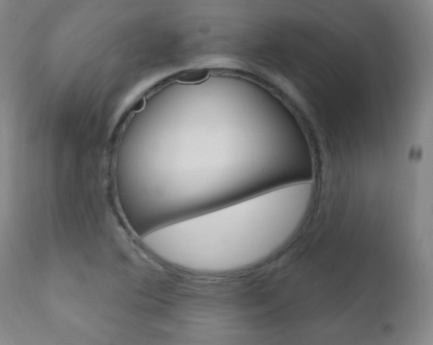 X0000110941364200906191040