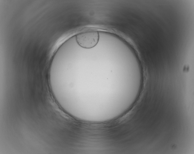 X0000110941365200906191040