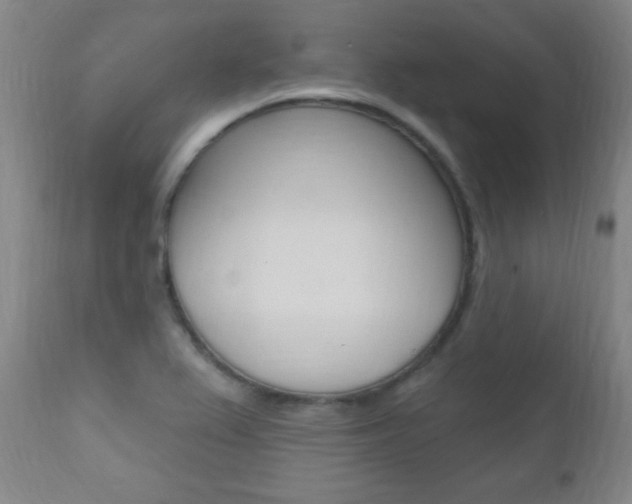 X0000110941367200906191040