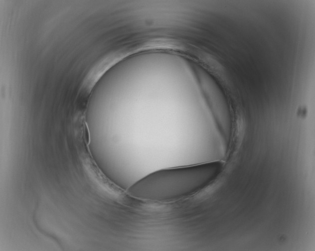 X0000110941369200906191040