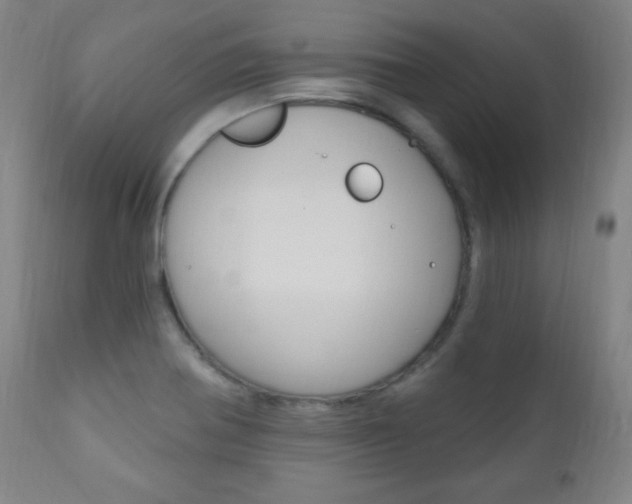 X0000110941370200906191040