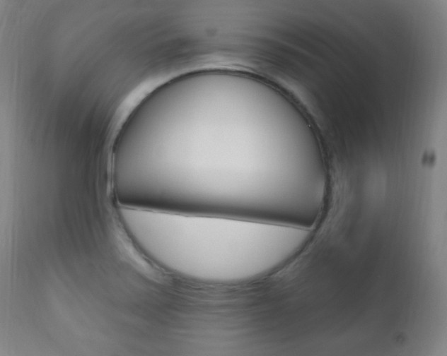 X0000110941371200906191040