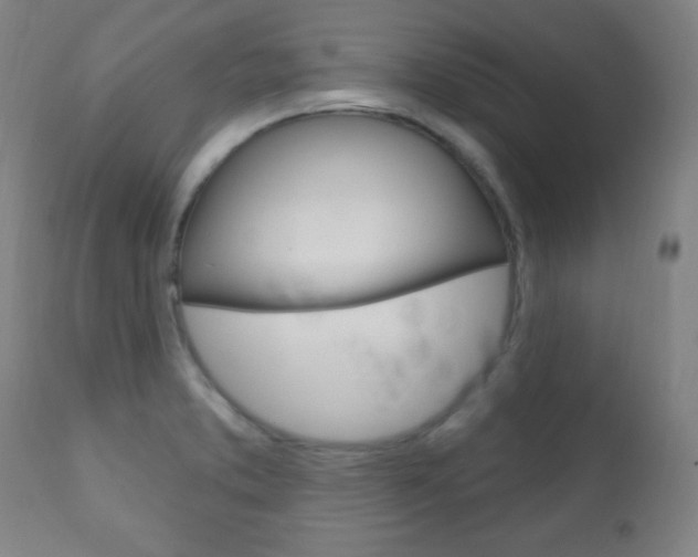X0000110941373200906191040