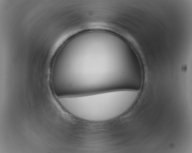 X0000110941376200906191040