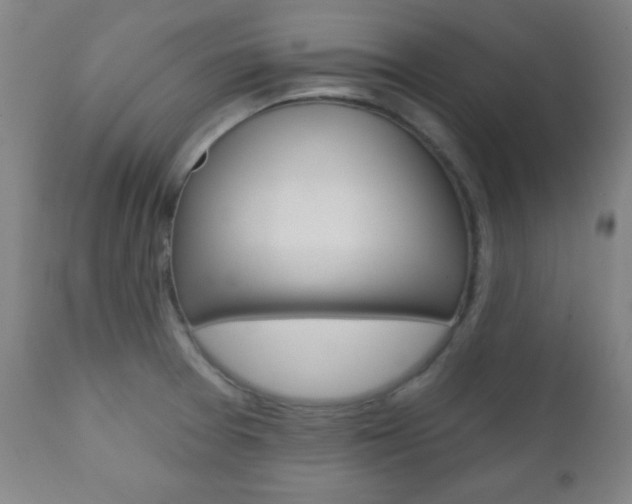 X0000110941377200906191040