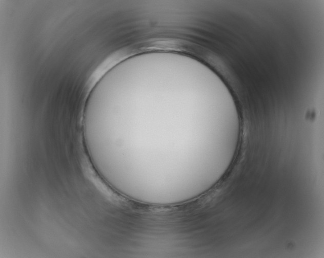 X0000110941378200906191040