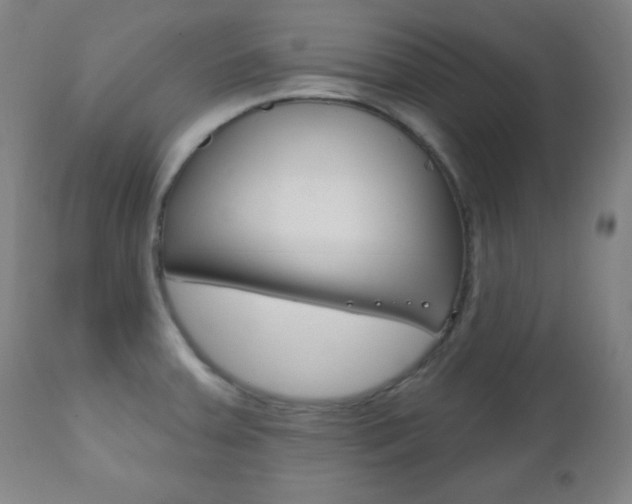 X0000110941379200906191040