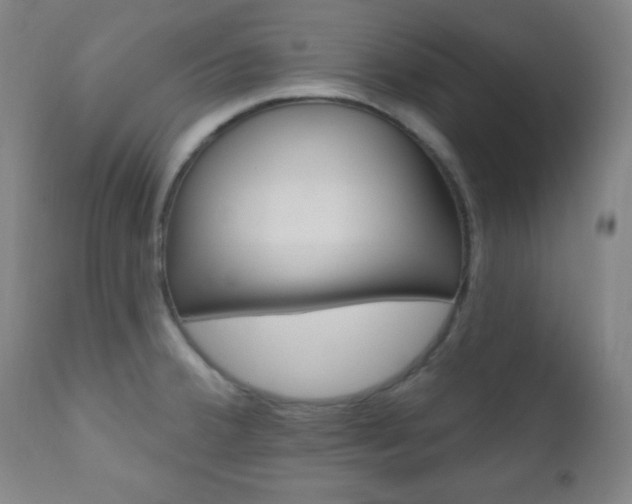 X0000110941380200906191040
