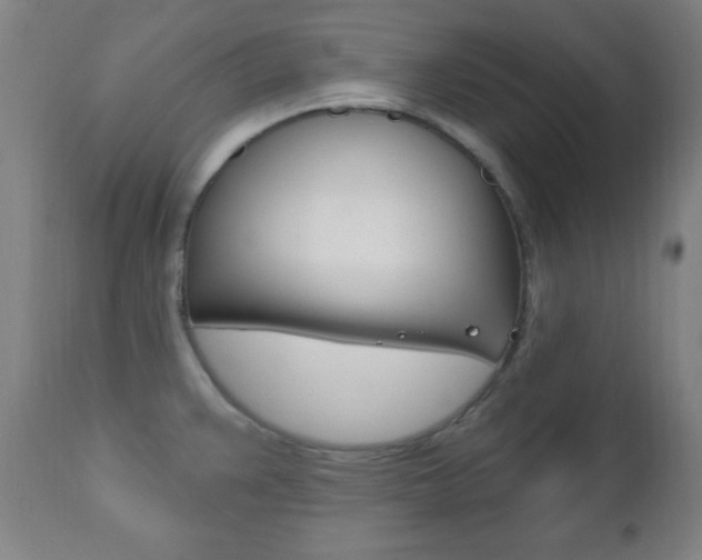 X0000110941383200906191040