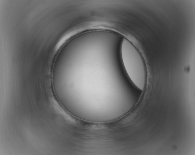 X0000110941384200906191040