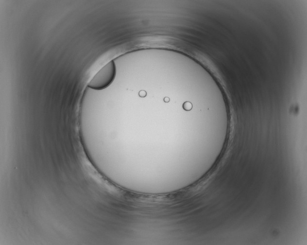 X0000110941386200906191040