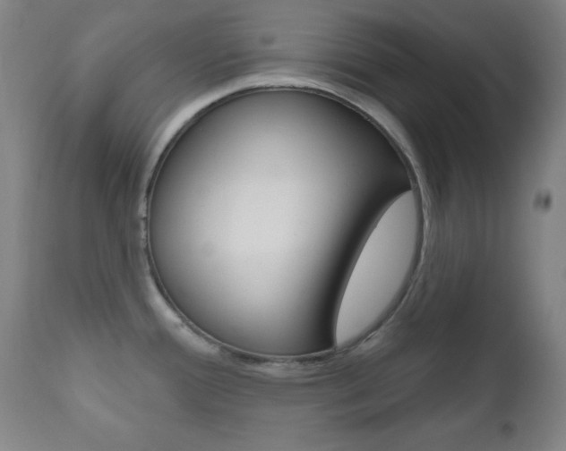 X0000110941388200906191040