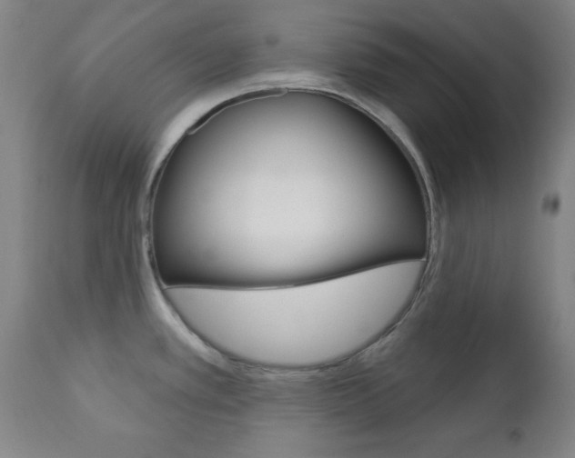 X0000110941389200906191040