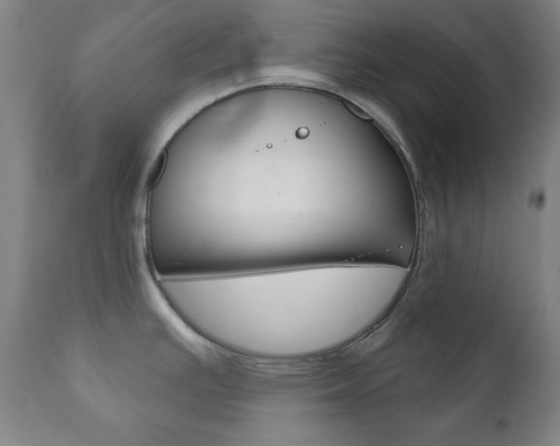 X0000110941391200906191040