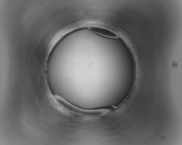X0000110941392200906191040