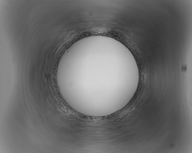 X0000110941393200906191039