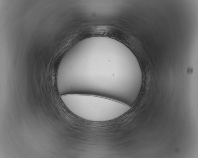 X0000110941394200906191039
