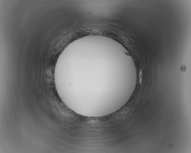 X0000110941395200906191039