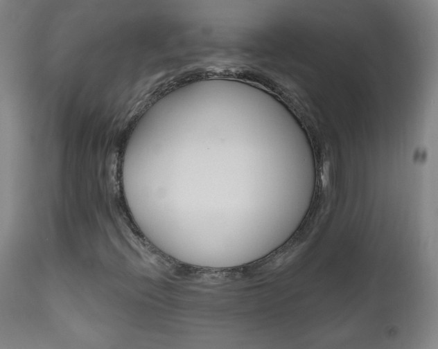 X0000110941396200906191039