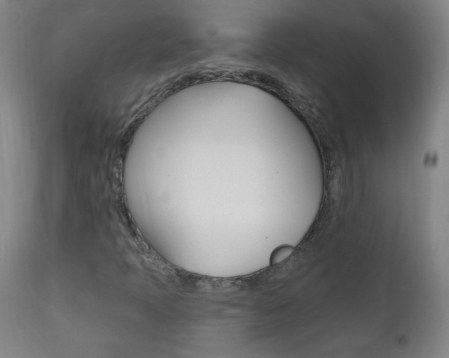 X0000110941397200906191039